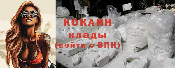 крисы Анжеро-Судженск