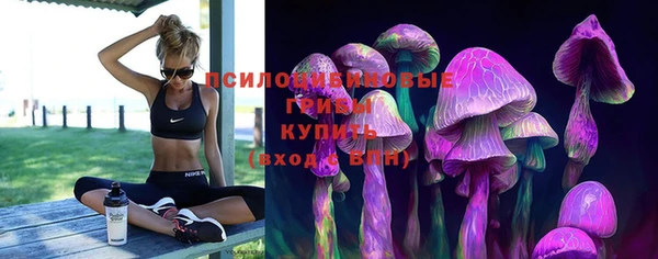 MDMA Новодвинск