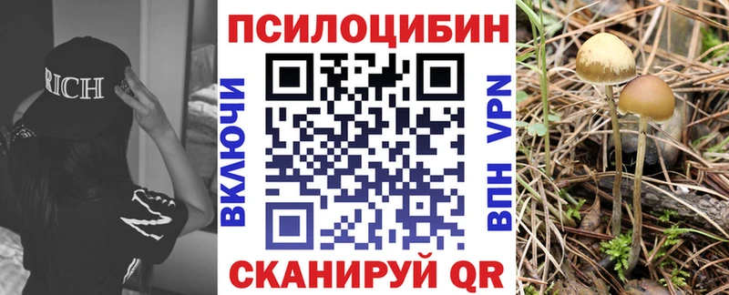 гидра сайт  Калачинск  Галлюциногенные грибы MAGIC MUSHROOMS 